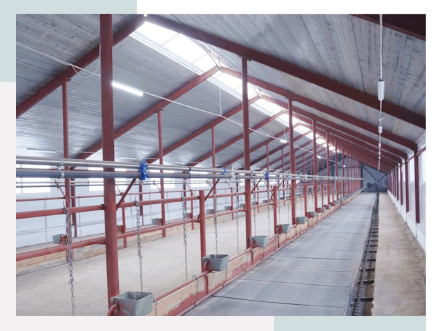 Строительство коровников в Урае от 625 руб.