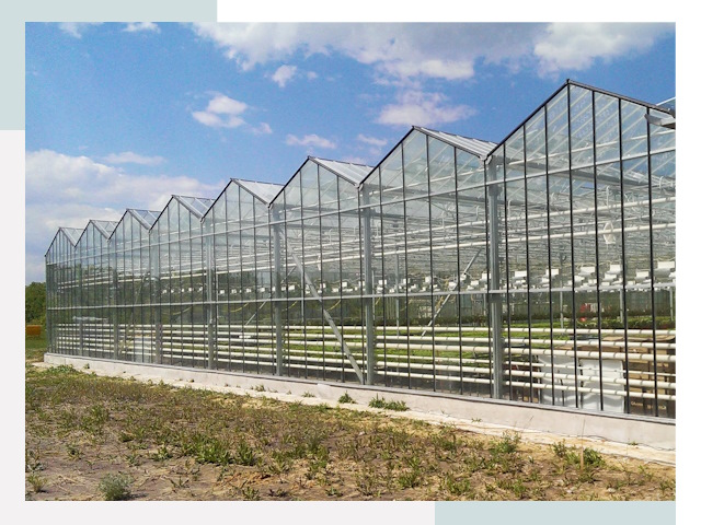Строительство теплиц в Урай от 625 руб. за м²
