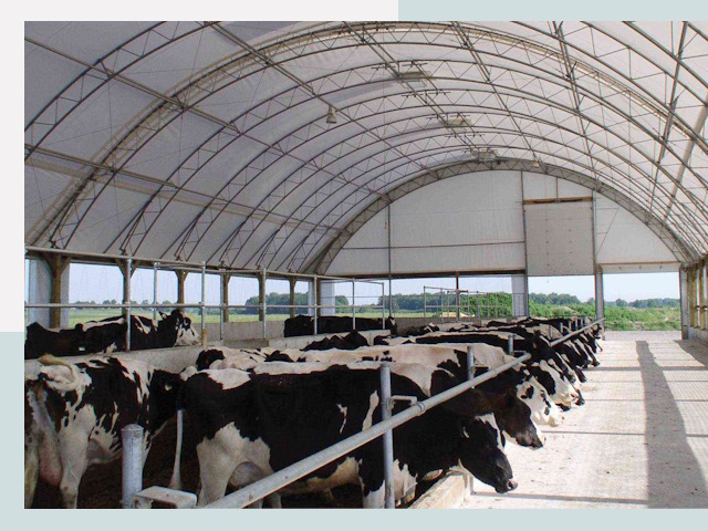 Тентовые коровники в Урае